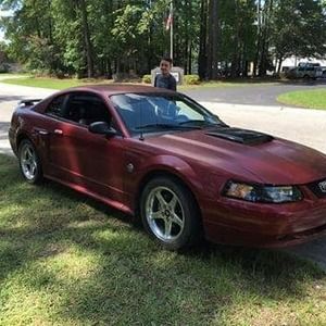 Meet your Posher, William